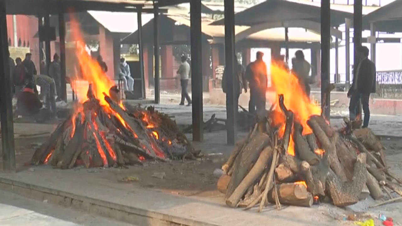Сжигать умерших в Индии предлагают не на дровах, а на коровьем навозе