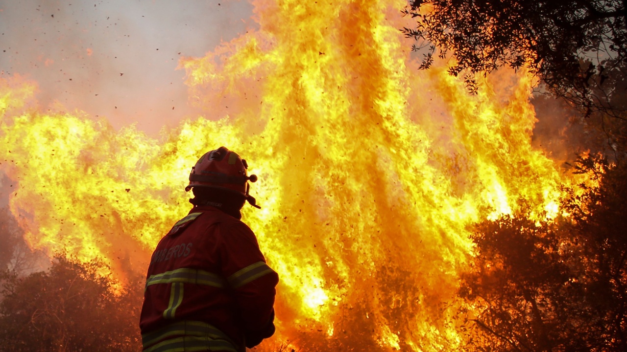 На юге Португалии не могут справиться с лесными пожарами