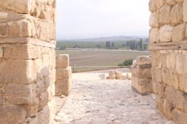 Израильскую тюрьму перенесут ради археологических раскопок