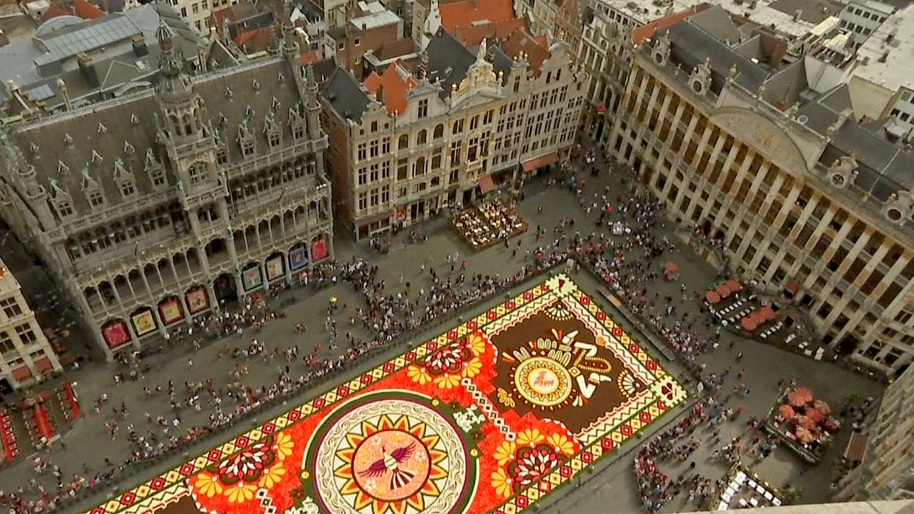 Центр Брюсселя украсил ковёр из 500 тысяч цветов