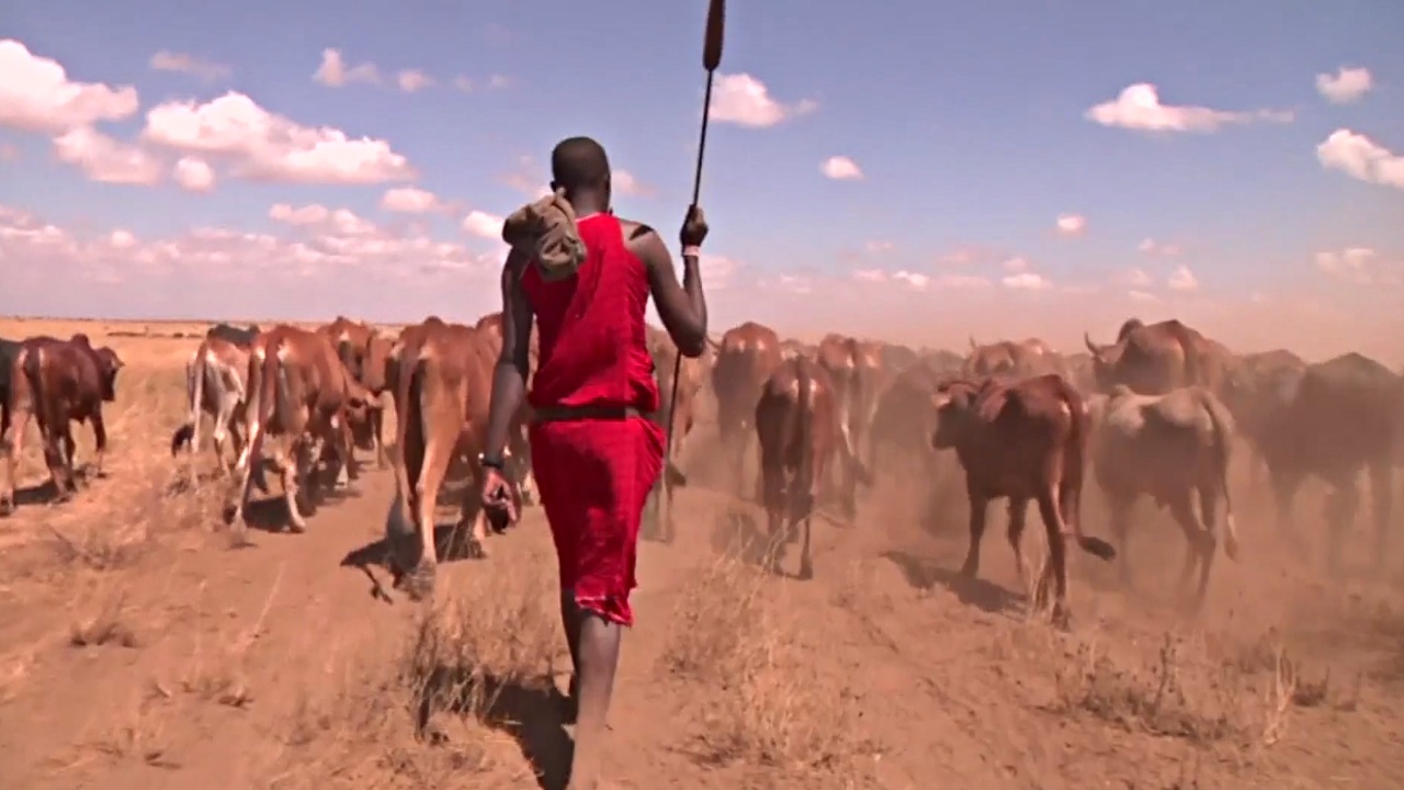 Приложение ищет кенийским фермерам воду и пастбища