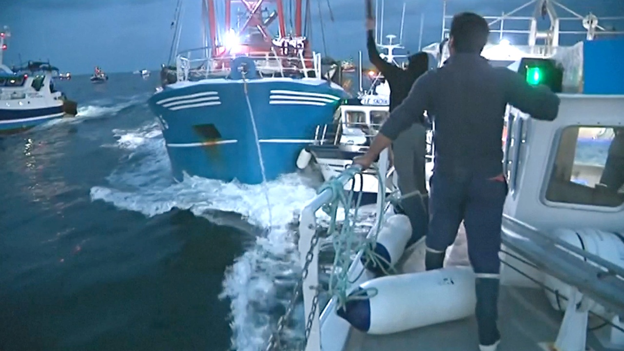 В Ла-Манше рыбаки воюют за запасы гребешка
