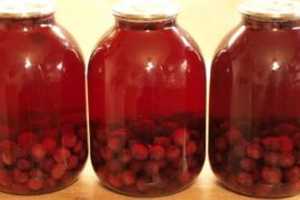 Вишневый отголосок лета