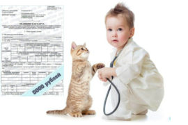 Оформляем справку за один день