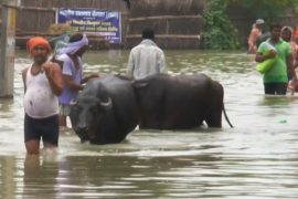 В Индии после наводнений распространяется опасная лихорадка