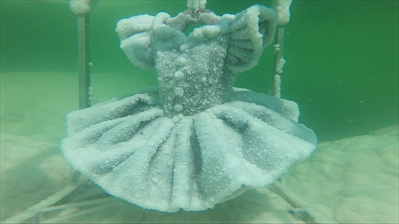 Художница создаёт скульптуры из кристаллов соли в Мёртвом море