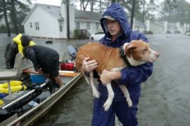 Ураган «Флоренс» затапливает США, тайфун «Мангхут» свирепствует в Азии
