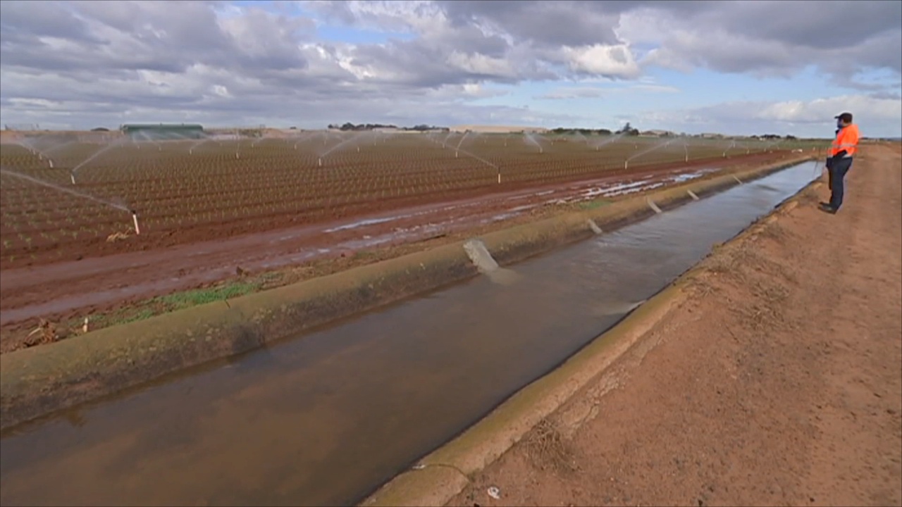 Сточные воды помогут фермерам Австралии преодолеть засуху