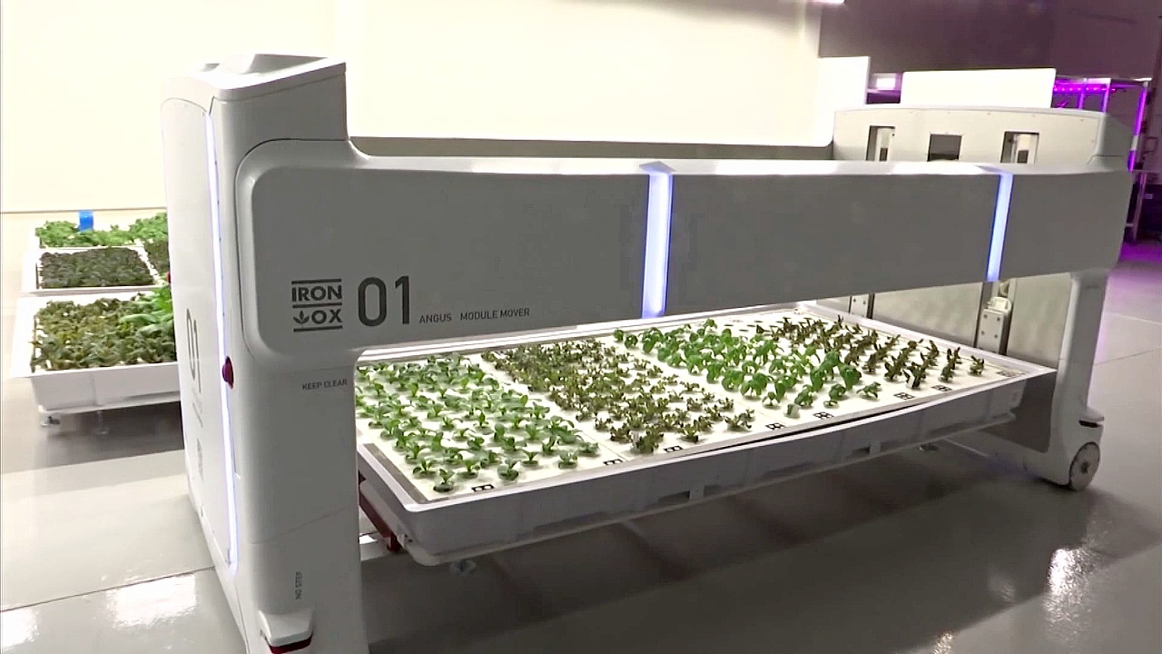 Робот выращивает зелень на ферме в Силиконовой долине