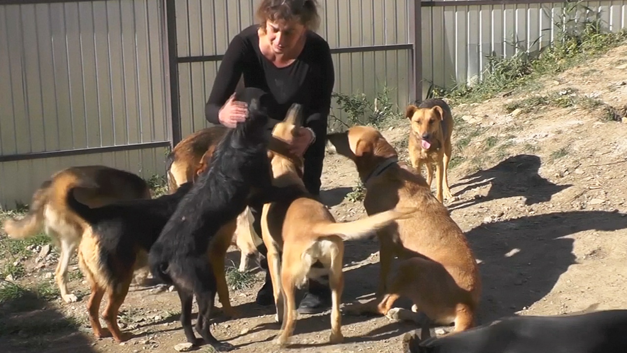 Крымчанка переехала в село, чтобы заботиться о бездомных животных