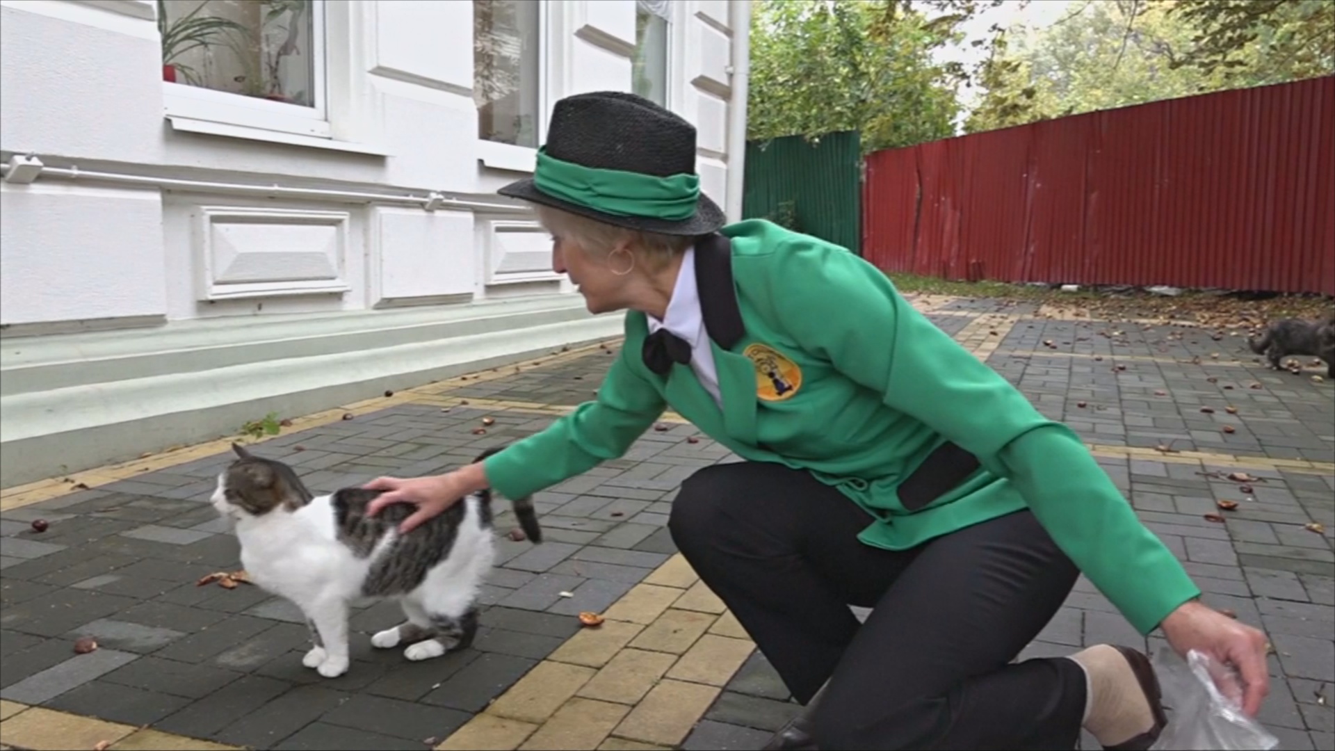 В Зеленоградске наняли на работу котошефа для заботы о кошках