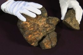 В США выставят на торги редкий лунный метеорит из шести частей