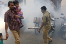 В индийском Джайпуре более 70 человек заболели лихорадкой Зика