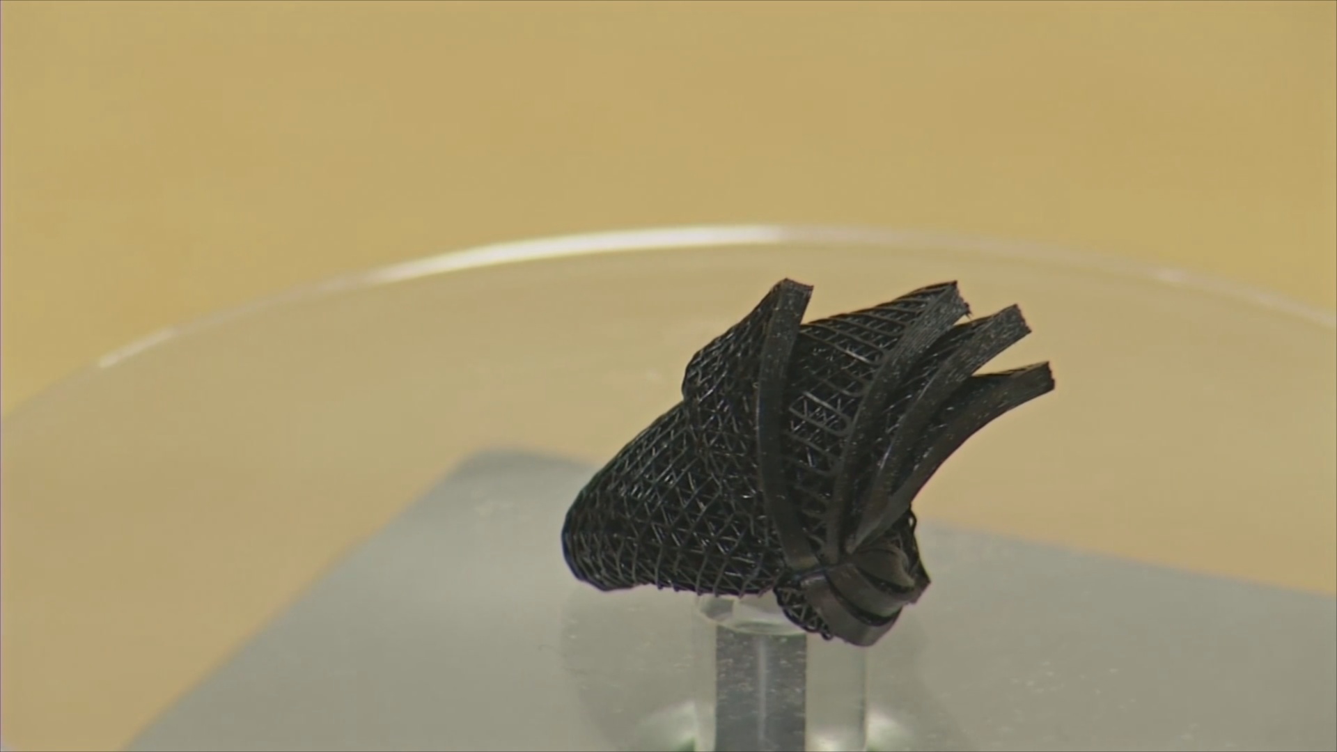 Новый метод керамической 4D-печати изобрели в Гонконге