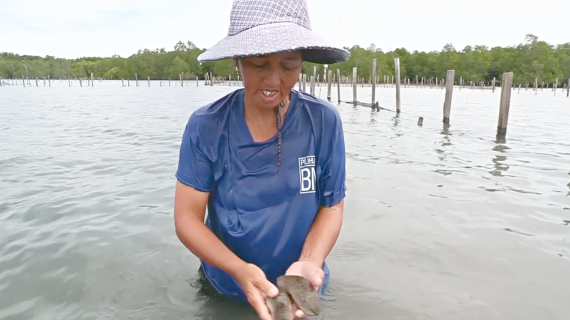 Рыбные фермы угрожают мангровым лесам острова Борнео