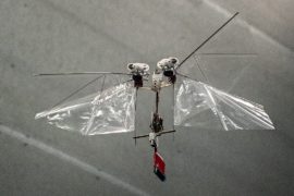 В Нидерландах создают дрон-муху
