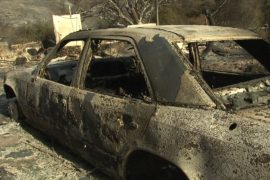 Число жертв пожаров в Калифорнии приближается к 50