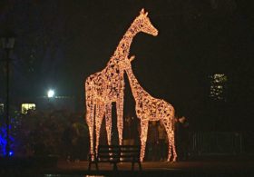 В Лондонском зоопарке появились светящееся скульптуры животных