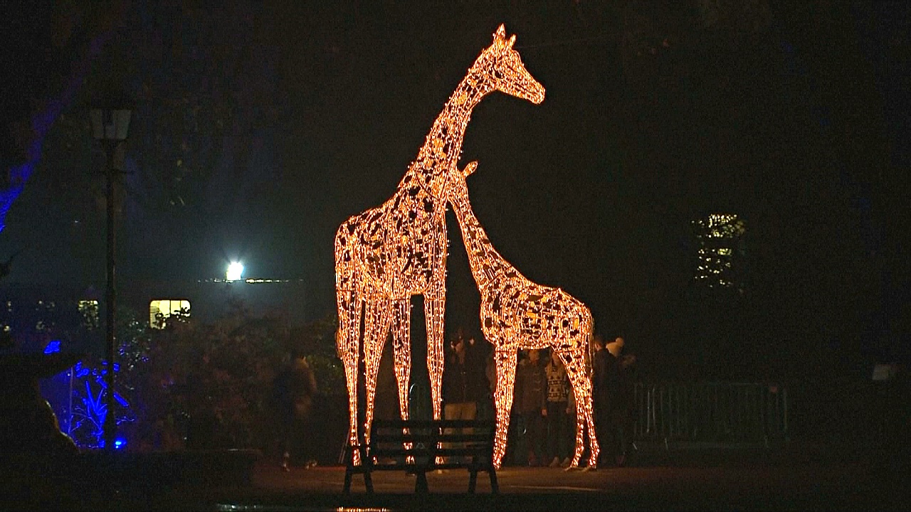 В Лондонском зоопарке появились светящееся скульптуры животных