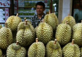 Спрос на зловонный дуриан в Китае создаёт новые плантации в Малайзии