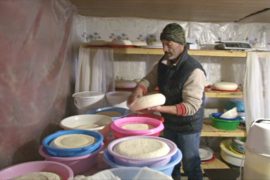 Осетинский производитель сыра борется за выживание своей фермы