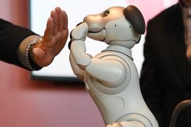 Как продвинулась робототехника в 2018