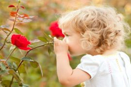 Аромамаркетинг увеличивает прибыль