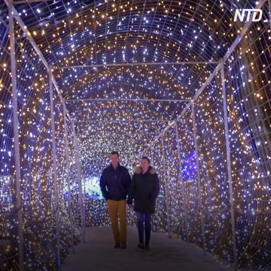 Хорват создал рождественскую деревню из 4 млн лампочек