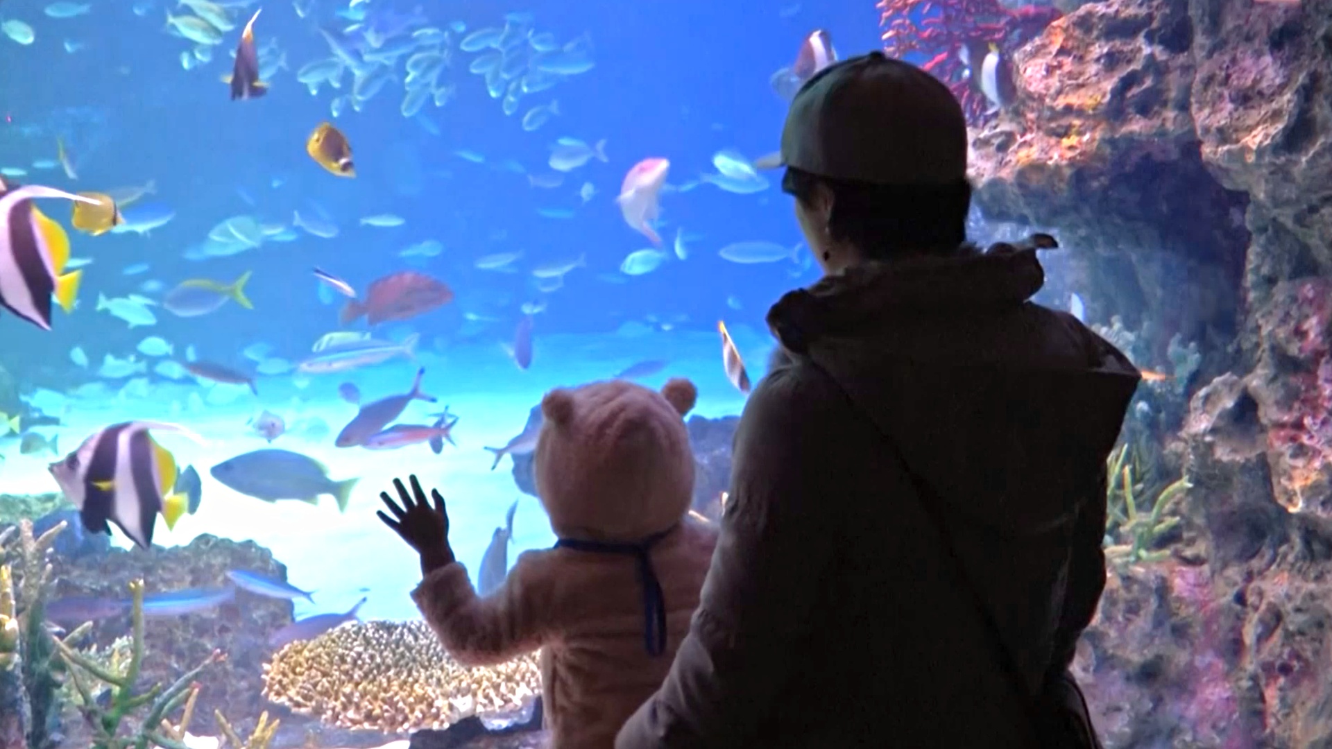 Прикоснуться к глубоководным созданиям можно в океанариуме в Токио
