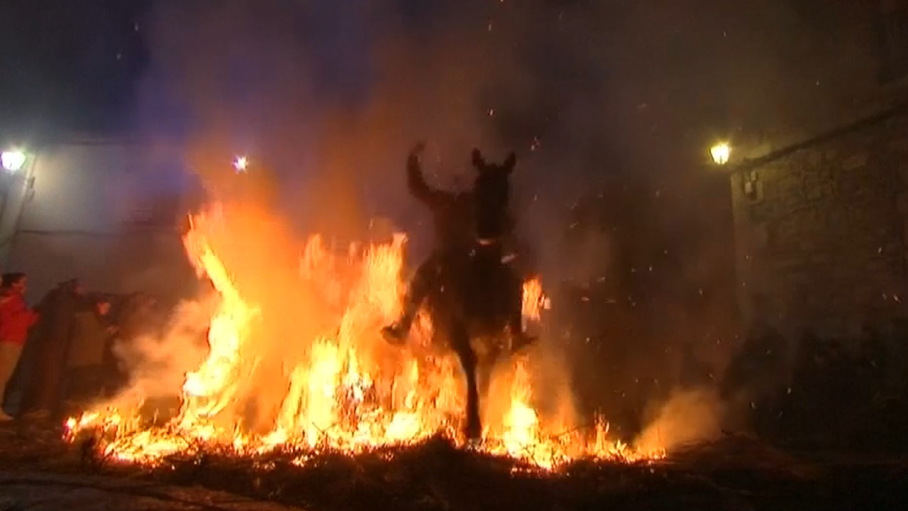 Очищение огнём: в Испании прыгают на лошадях через костры