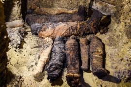 В Египте нашли некрополь с десятками мумий
