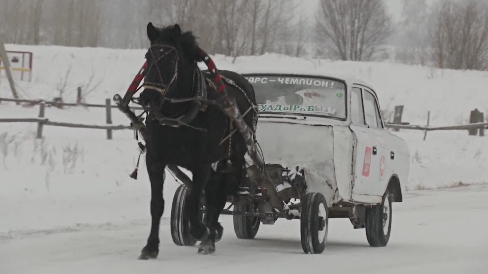 Автомобиль на одной лошадиной силе построил российский учитель