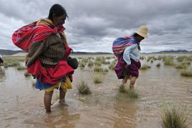 Наводнения в Боливии и Перу уносят жизни