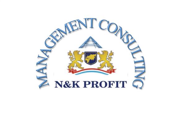 Компания N&K PROFIT – с консалтинговыми услугами
