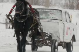 Как выглядит москвич на одной лошадиной тяге