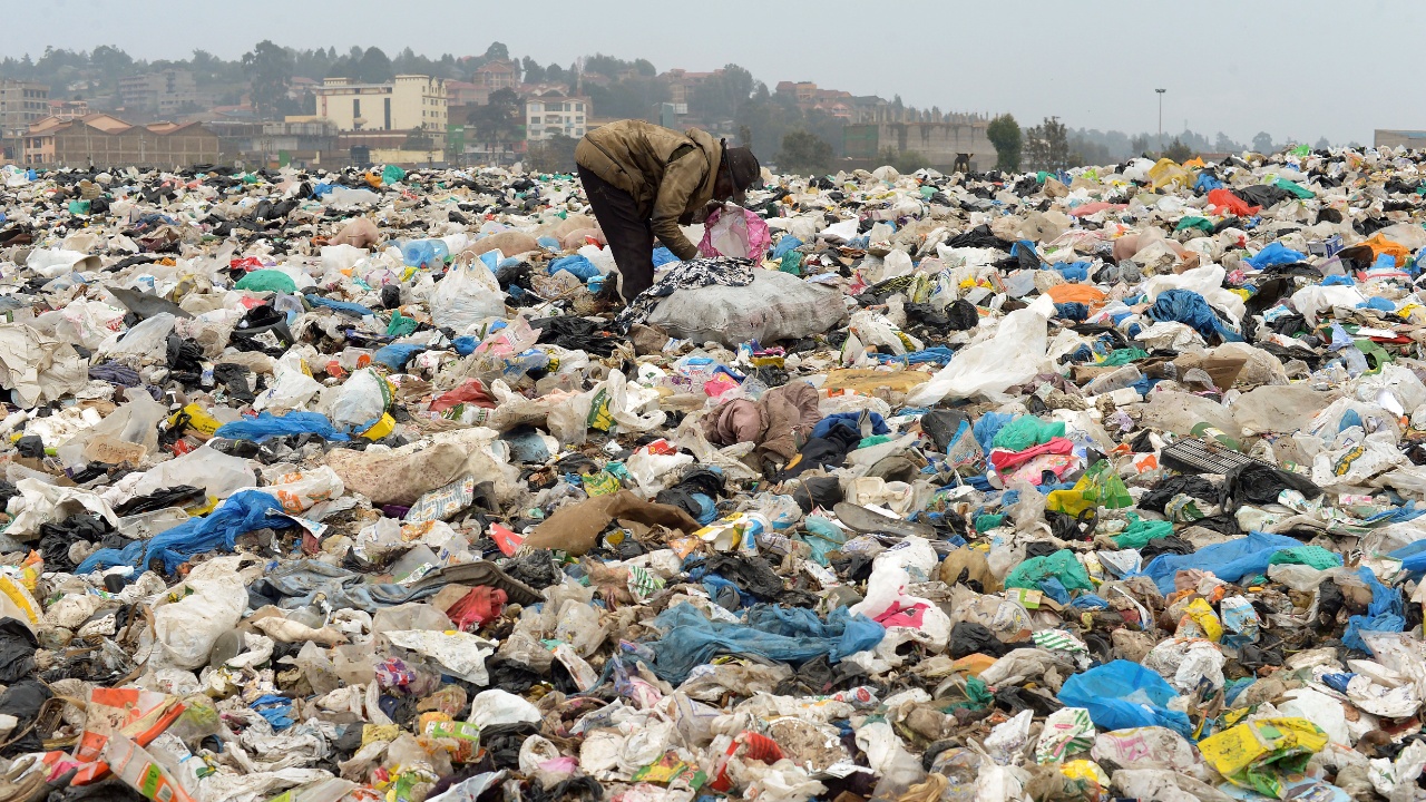 Кения не может организовать переработку мусора и тонет в пластиковых бутылках