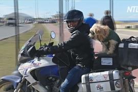 Аргентинец и собака проехали тысячи километров на мотоцикле