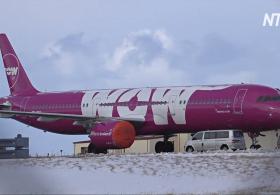 Исландский лоукостер WOW Air прекратил полёты
