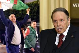Алжирцы вышли на улицы отпраздновать уход Абделя Азиза Бутефлики