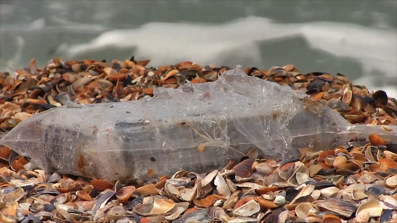 На пляжи Румынии вымыло 150 кг кокаина