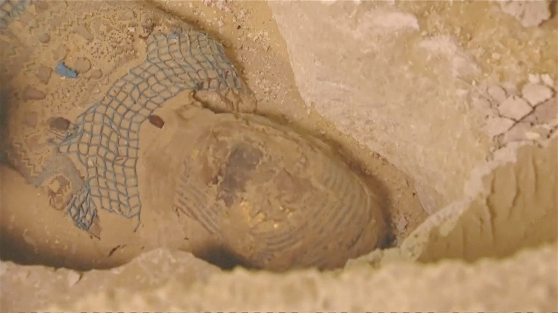 В Египте на кладбище нашли 2500-летнюю мумию