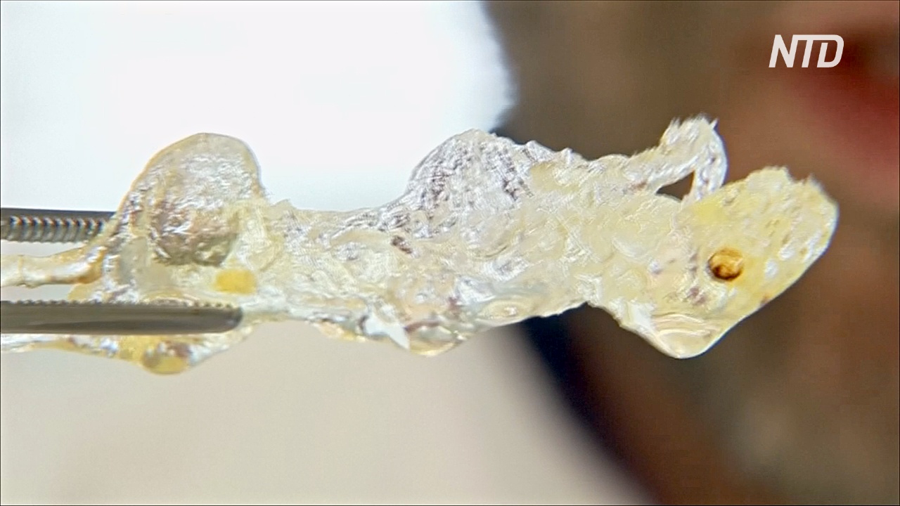 Органы человека делают прозрачными, чтобы печатать их на 3D-принтере