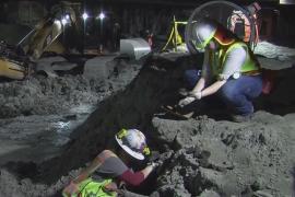 Останки Ледникового периода нашли при строительстве метро