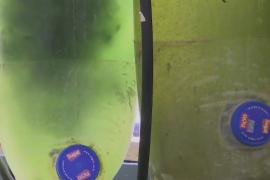 Новый пластик из планктона разлагается в воде за два года