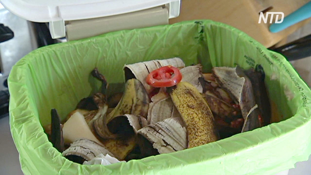 В Тасмании органические отходы больше не будут везти на свалки