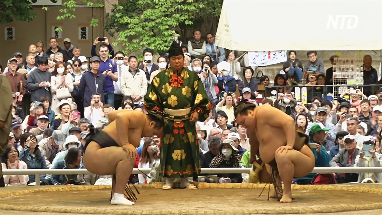 Поклонники сумо призывают Трампа посмотреть схватку в Японии, сидя на полу
