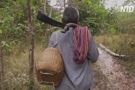 Жители камбоджийских лесов защищают джунгли с мачете