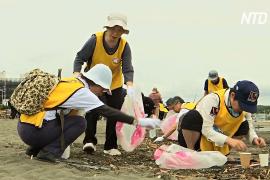 Десятки японцев убрали пляж в преддверии Олимпиады-2020