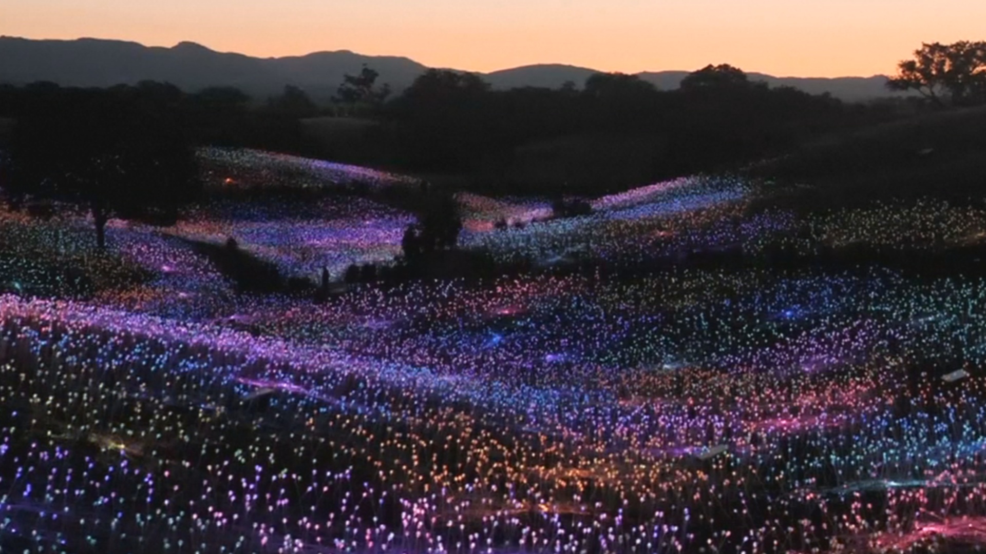 Британский художник оживил калифорнийские холмы десятками тысяч фонариков