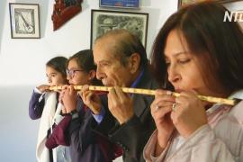 Смесь гитары и флейты: боливийский музыкант создаёт уникальные инструменты